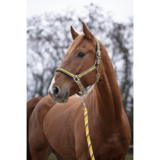 Licol equitheme ligne