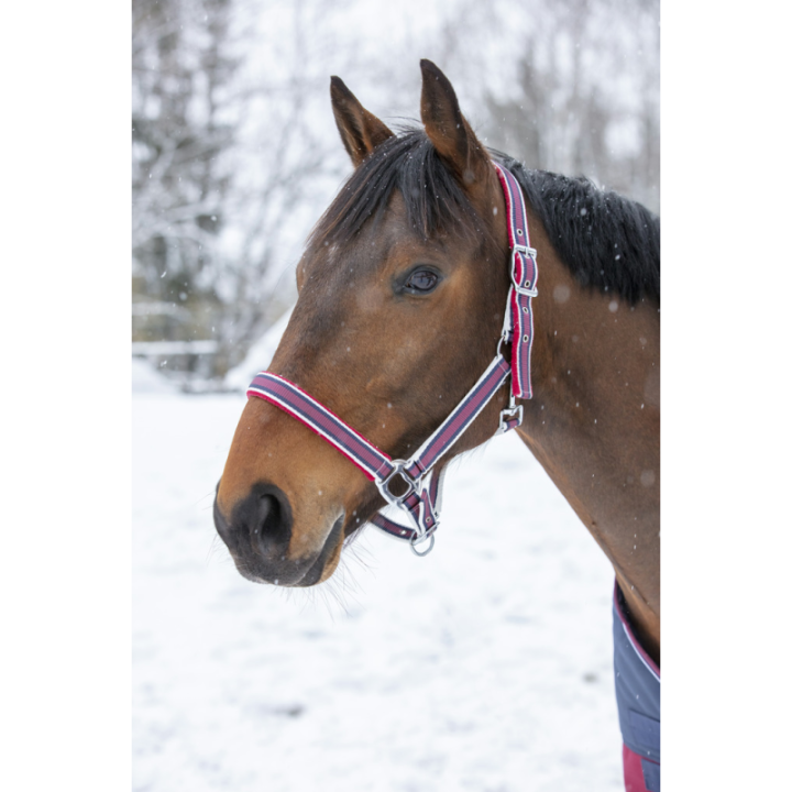 Licol equitheme ligne