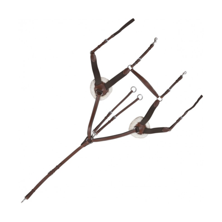 Collier de chasse canter 5 pts