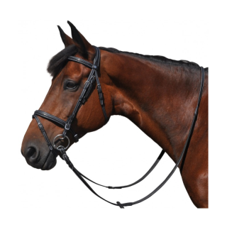 Bridon flags & cup  helsinki