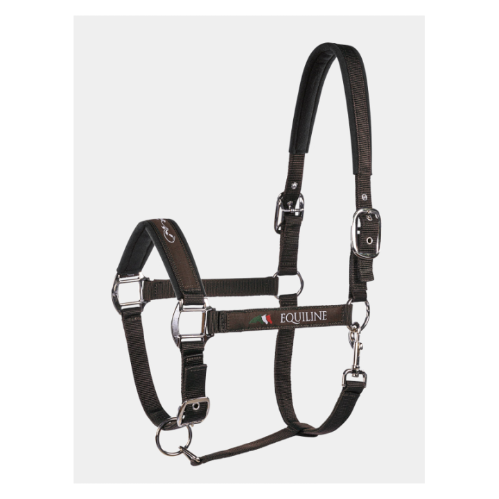 Licol  equiline timmy