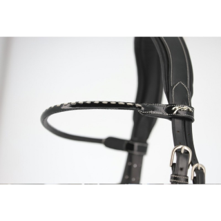 Frontal penelope classic