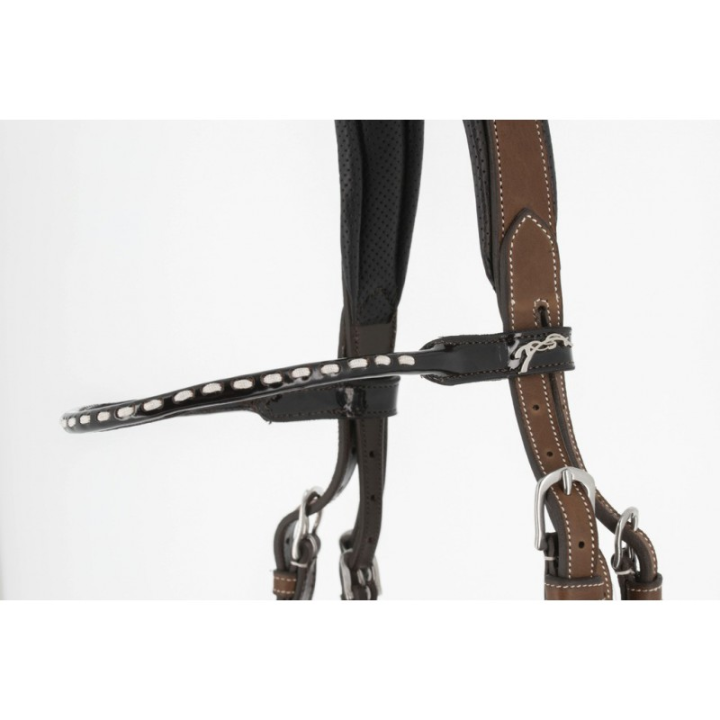 Frontal penelope classic