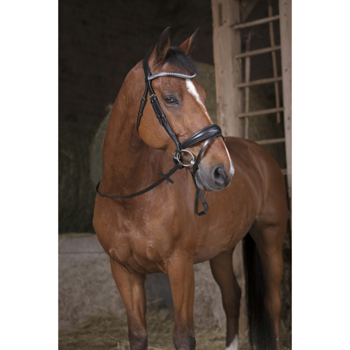 Renes norton pro grip