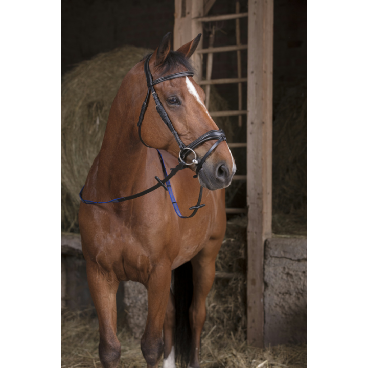 Renes norton pro grip