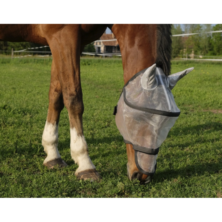 Masque a-mouch.et protec