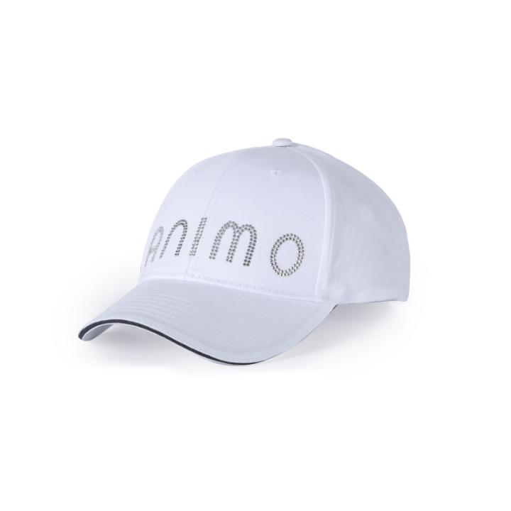 Casquette vynce animo