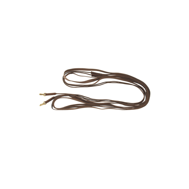 Longues renes chetak