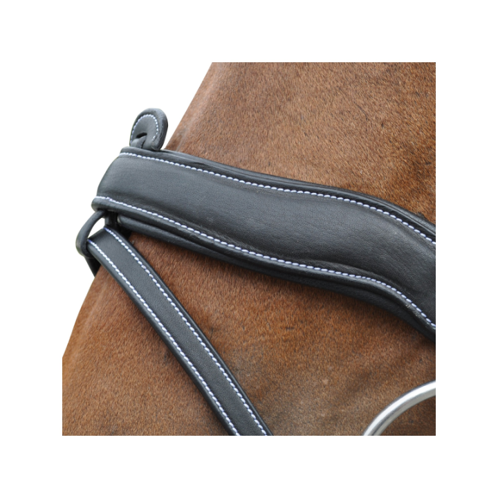 Bridon f&c confort combi