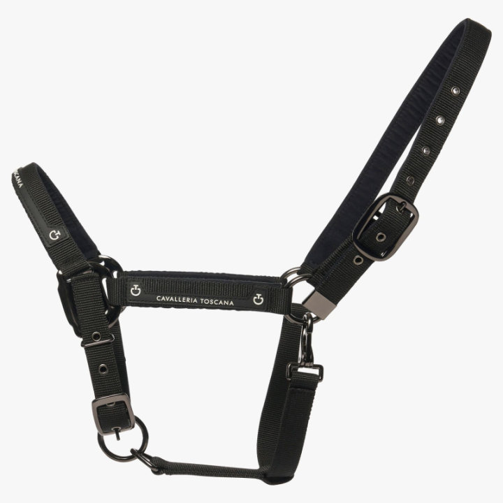 Licol cavalleria toscana