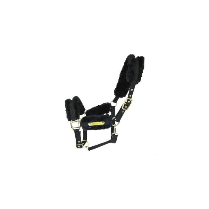 Licol nylon mouton kentucky