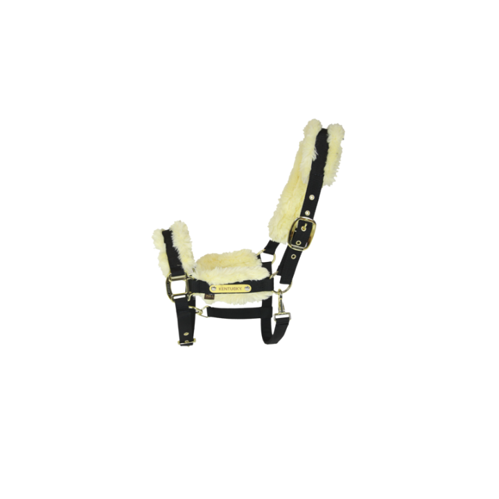 Licol nylon mouton kentucky