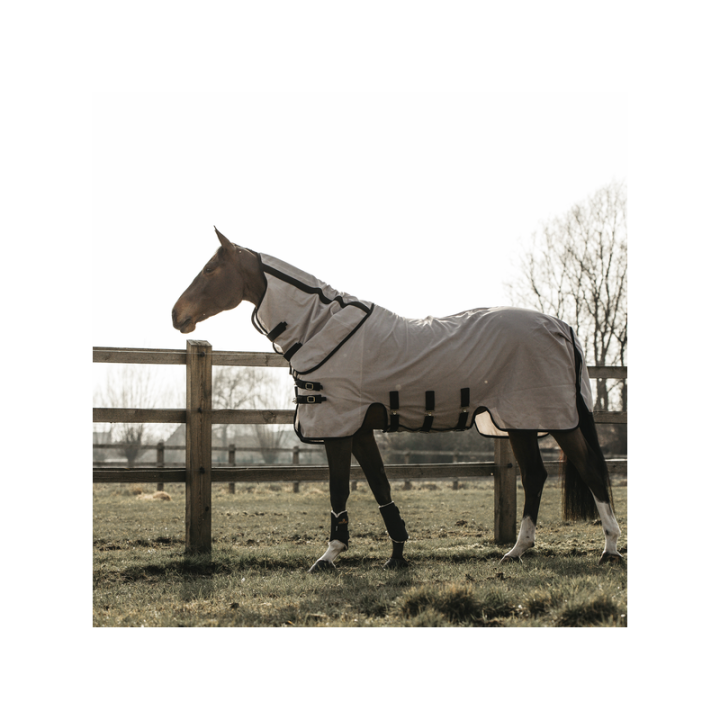 Chemise anti mouches kentucky