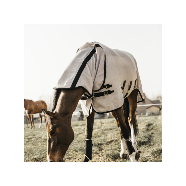 Chemise anti mouches kentucky