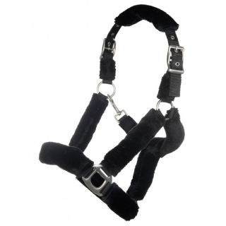 Licol rembourre teddy