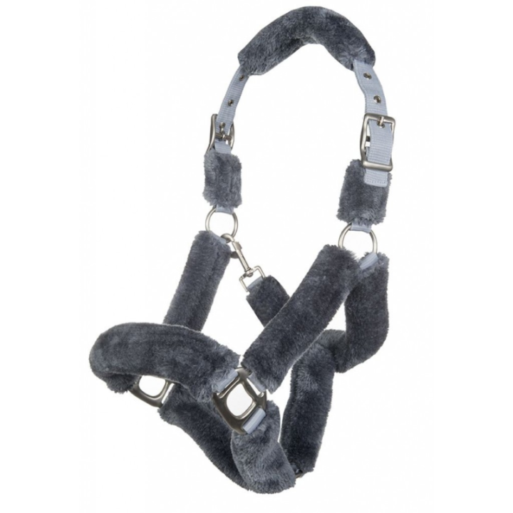 Licol rembourre teddy