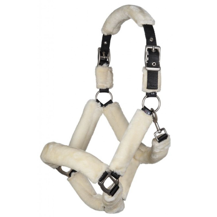 Licol rembourre teddy