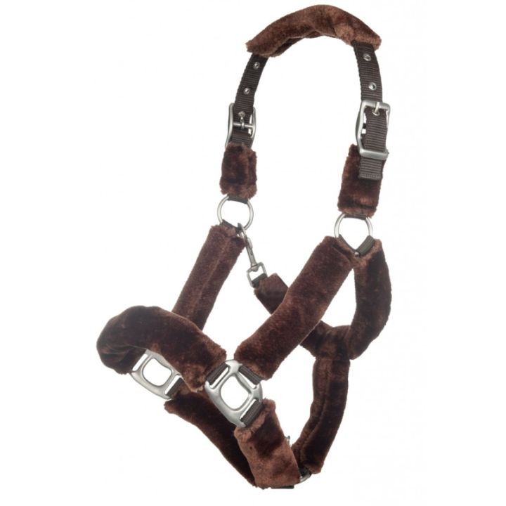 Licol rembourre teddy