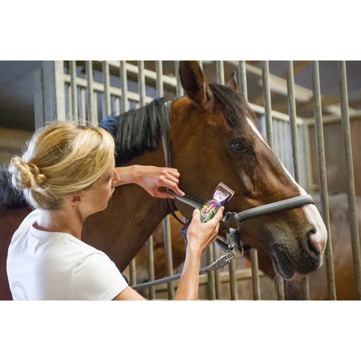 Tondeuse saphir style sans fil