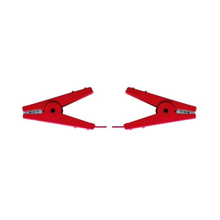 Cable de connexion 2 pinces croco