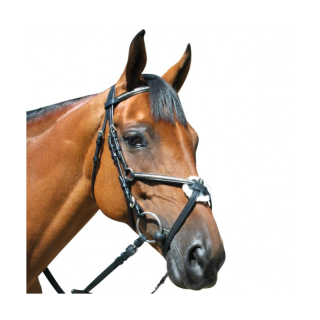 Bridon deauville croise