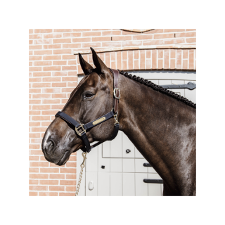 Licol anatomique nylon kentucky