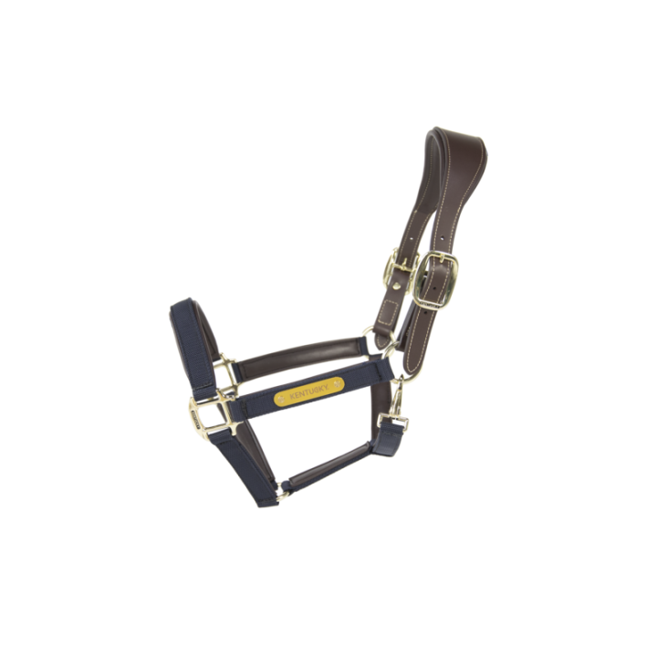 Licol anatomique nylon kentucky