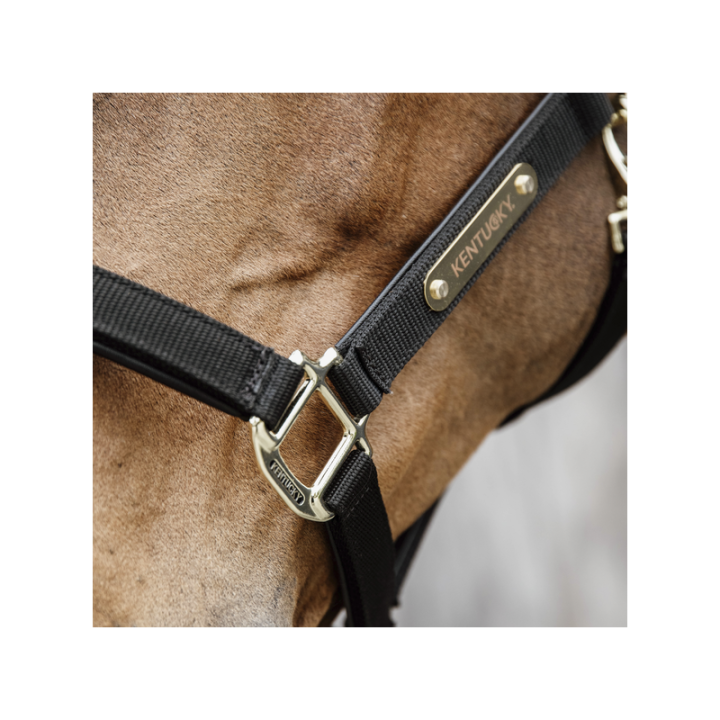 Licol anatomique nylon kentucky