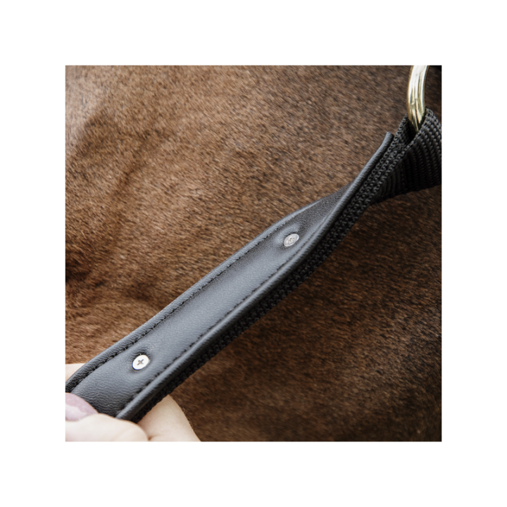 Licol anatomique nylon kentucky