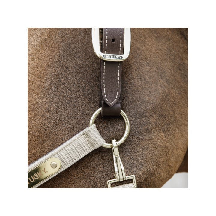 Licol anatomique nylon kentucky