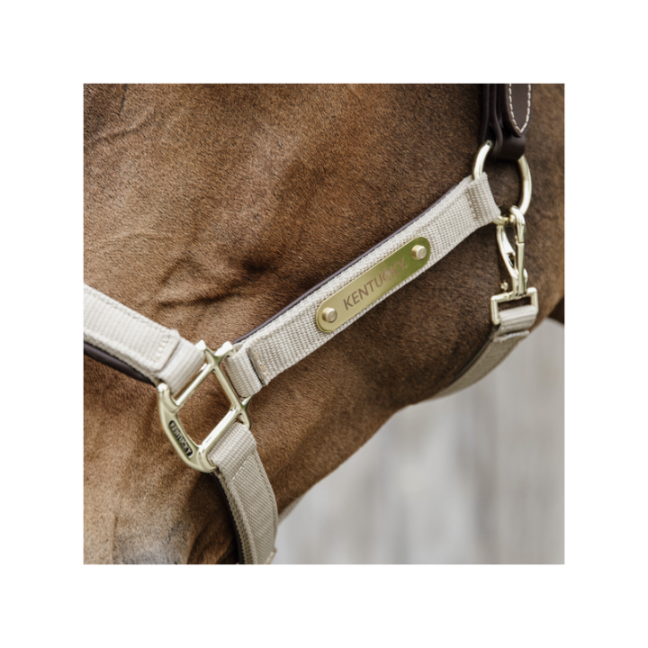 Licol anatomique nylon kentucky