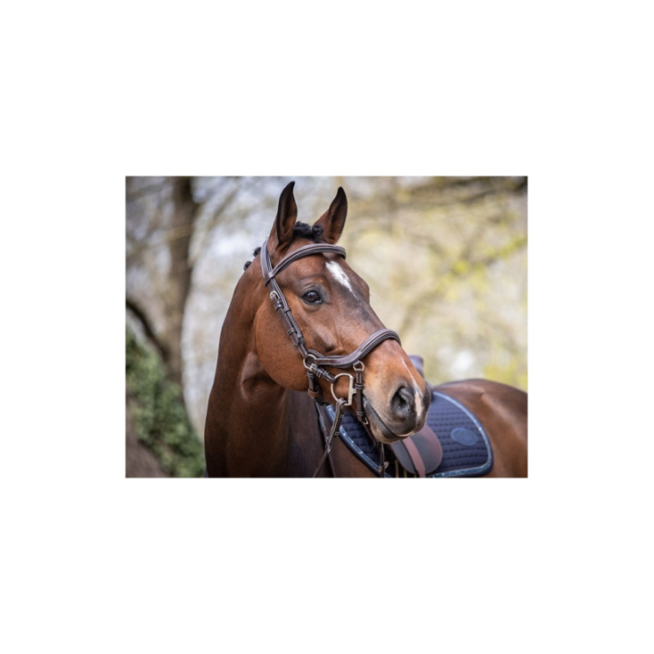 Bridon week summer combi. havane  full