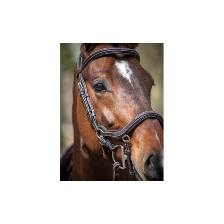 Bridon week summer combi. havane  full