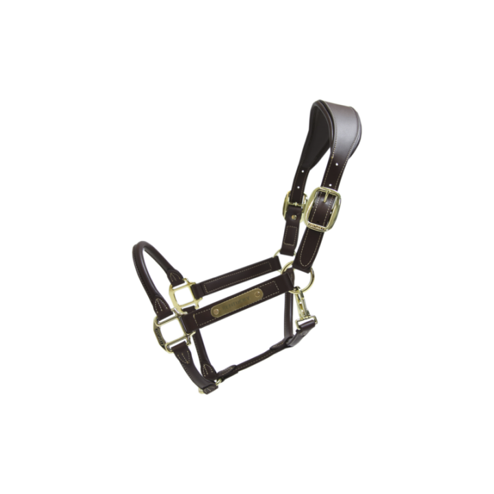 Licol anatomic kentucky