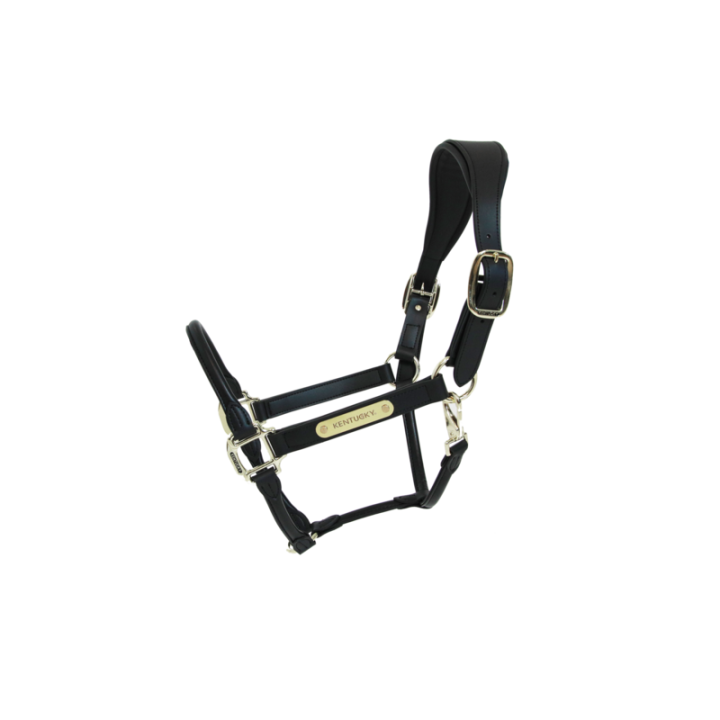 Licol anatomic kentucky