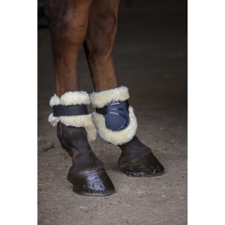 P.b. nort. xtr mouton synth.