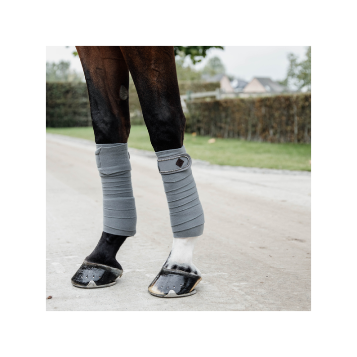 Bande de polo kentucky pearls