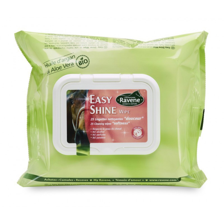 Easy shine lingettes nettoyantes x25