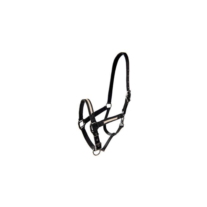 Licol sparkling glitter