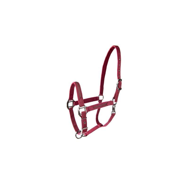 Licol sparkling glitter