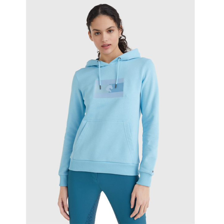 Sweat capuche logo tomy hilfiger