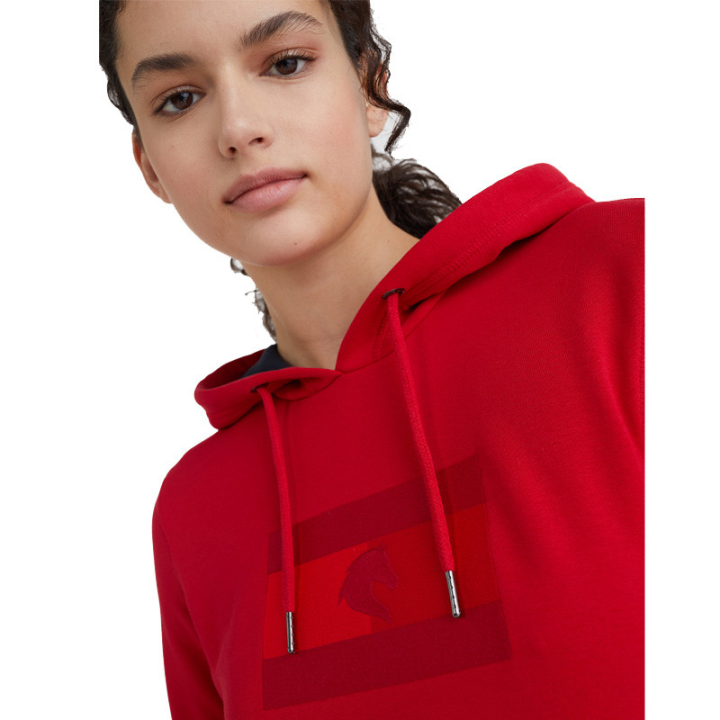 Sweat capuche logo tomy hilfiger