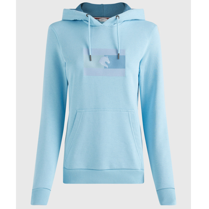 Sweat capuche logo tomy hilfiger