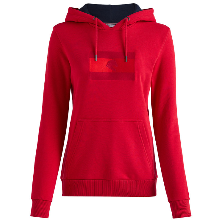 Sweat capuche logo tomy hilfiger