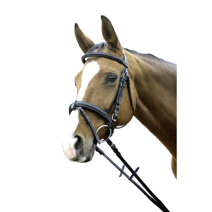 Bridon denver natural line