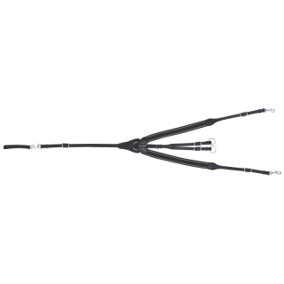 Collier de chasse elastique iowa