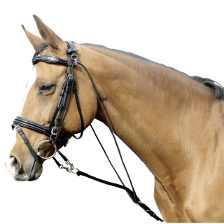 Gogue natural line havane full