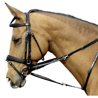 Enrenement thiedemann natural line