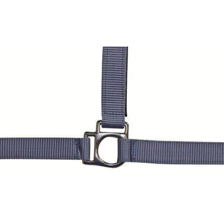 Licol stars taille x-full