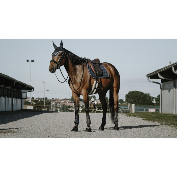 Bonnet anti mouche french cheval